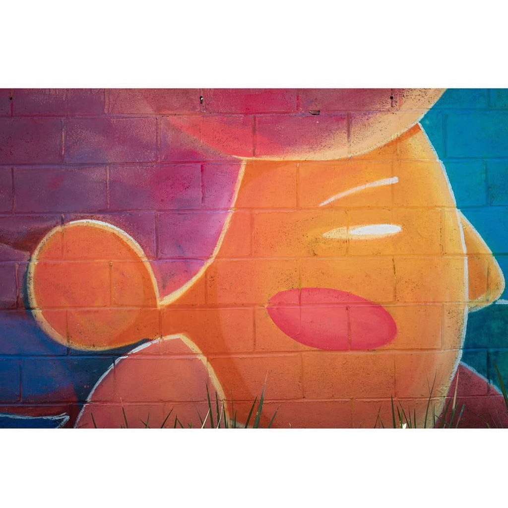 Conexión II
