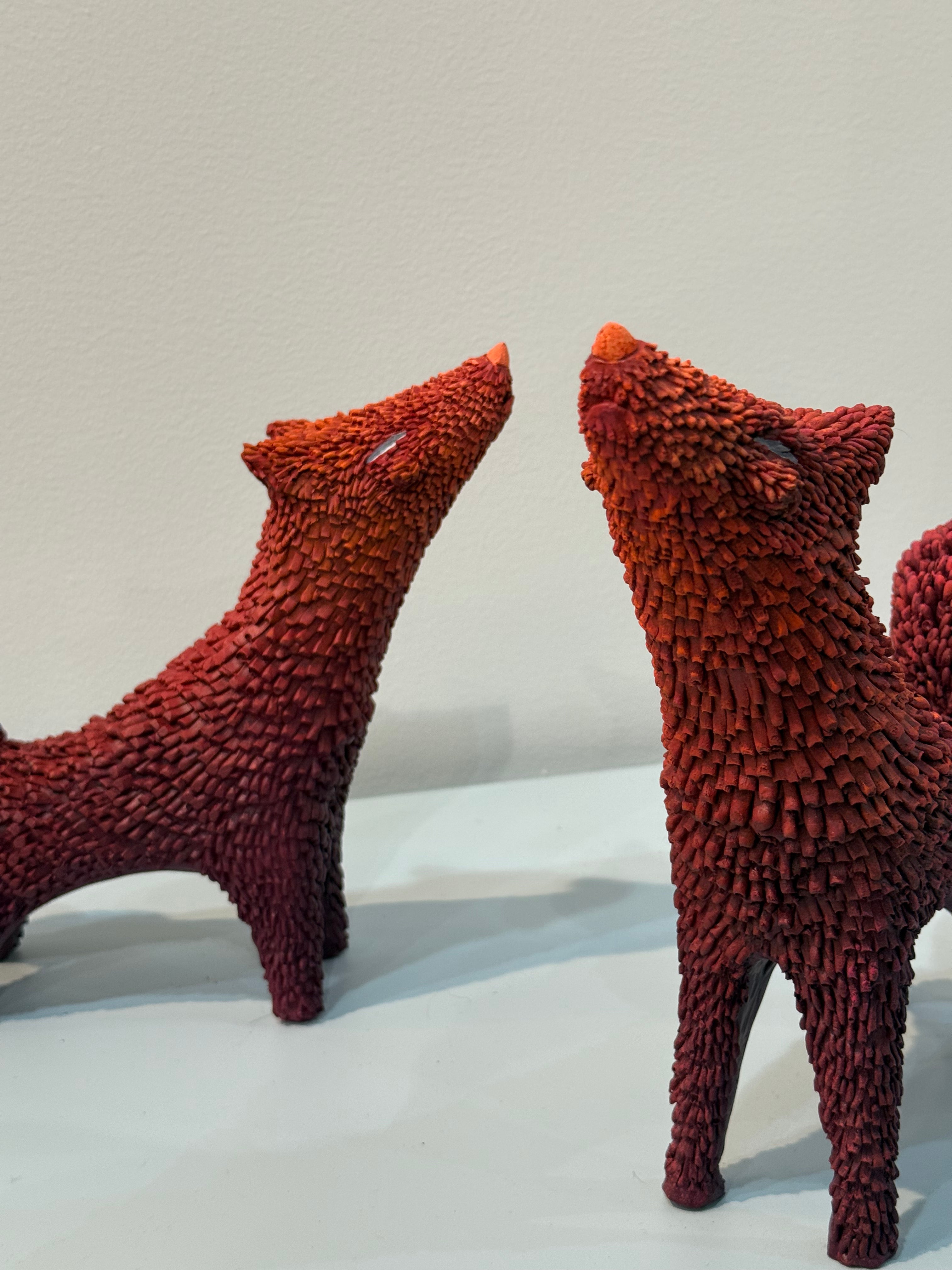 Coyotas