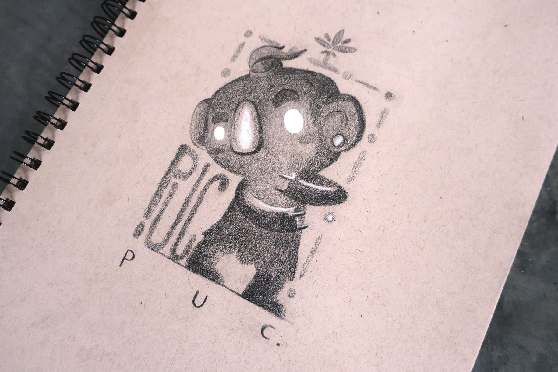 PUC Sketch