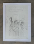 Storyboard del encuentro