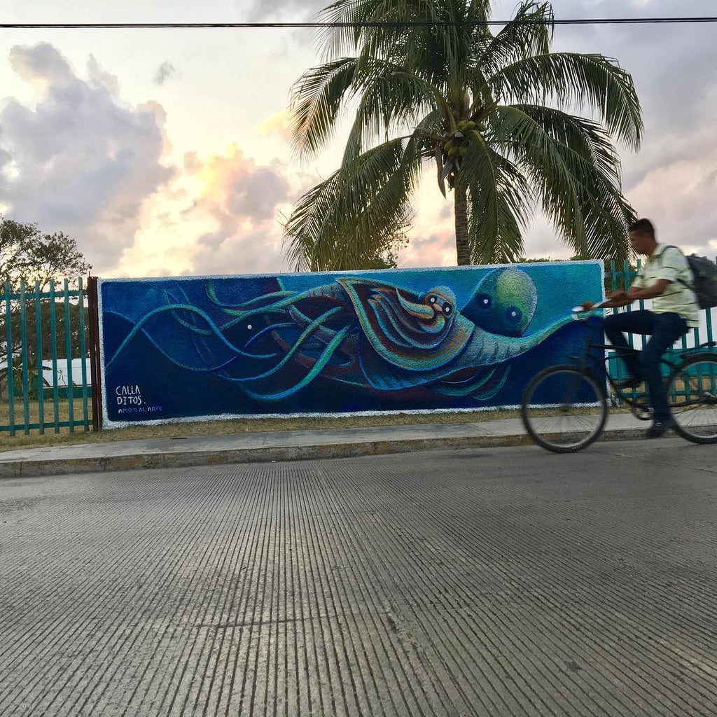 Carretas y su pulpo exploran
