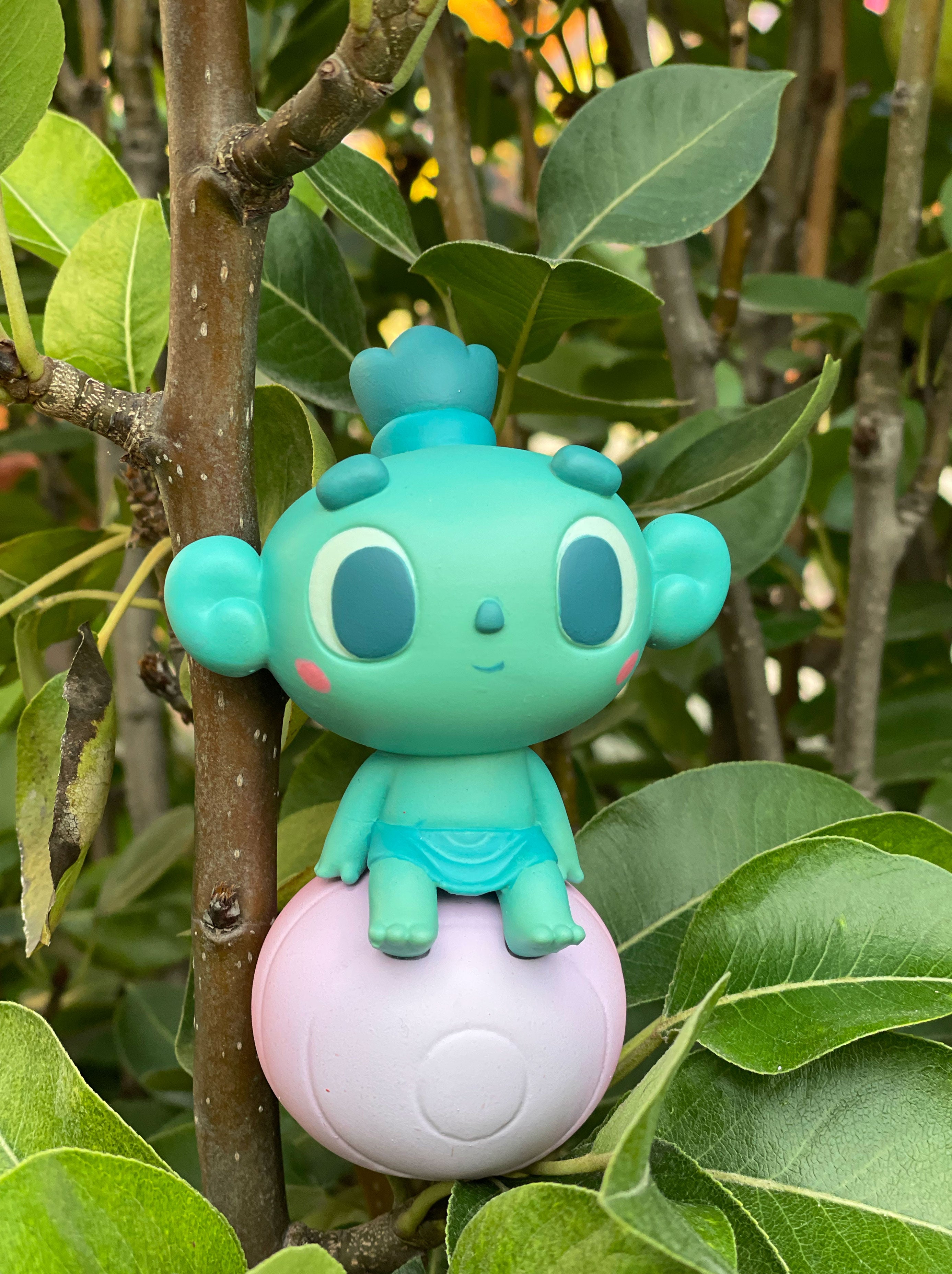 Puc