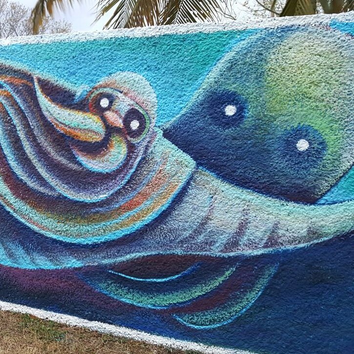 Carretas y su pulpo exploran